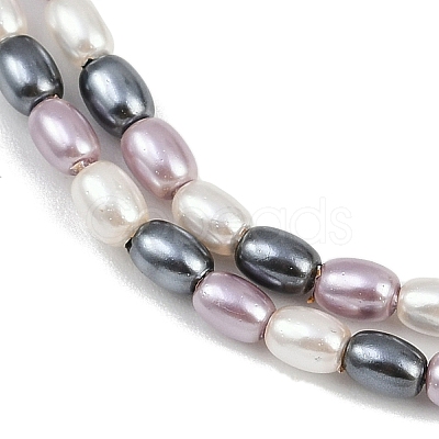 Electroplated Shell Pearl Beads Strands BSHE-H113-06B-04-1