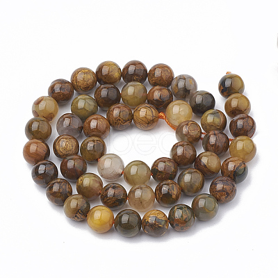 Natural Pietersite Beads Strands G-S333-12mm-010-1