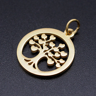 304 Stainless Steel Pendants LS-STAS-T046-JA350-2-1