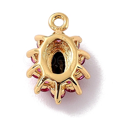 Eco-Friendly Brass Micro Pave Cubic Zirconia Charms ZIRC-C027-12G-10-RS-1
