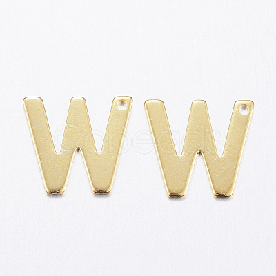 304 Stainless Steel Charms STAS-P141-W-1