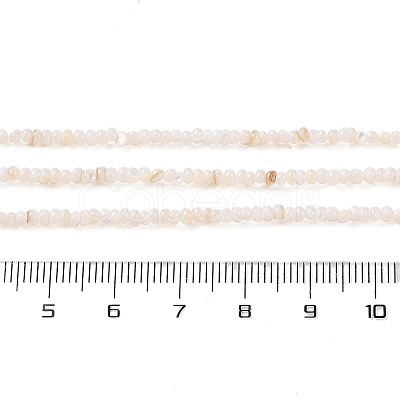 Natural Freshwater Shell Beads Strands SHEL-P017-01A-02-1