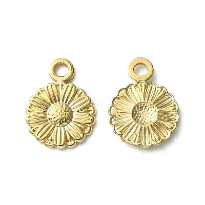304 Stainless Steel Charms STAS-L269-056G-1