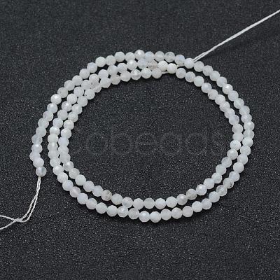 Natural Rainbow Moonstone Beads Strands G-E411-08-3mm-1