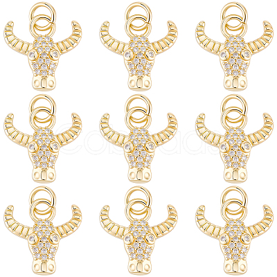 10Pcs Brass Micro Pave Cubic Zirconia Charms KK-BBC0024-920-1