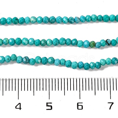 Natural Howlite Beads Strands G-H025-03A-02-1