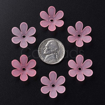Transparent Acrylic Beads LS-MACR-S373-107-D05-1