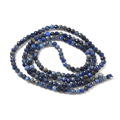 Natural Lapis Lazuli Bead Strands G-G936-2mm-22-1