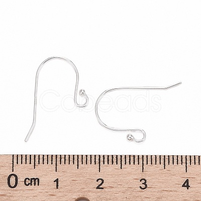 925 Sterling Silver Earring Hooks STER-G011-06-1