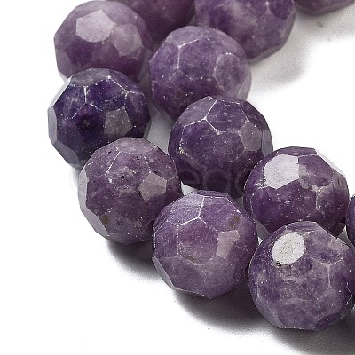 Natural Lepodolite Beads Strands G-C150-B03-02-1