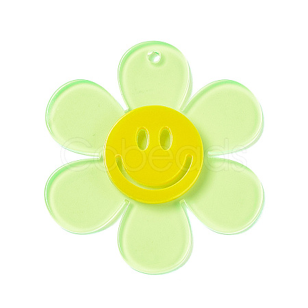 Transparent Acrylic Big Pendants LS-OACR-P012-A04-1
