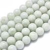 Natural Myanmar Jade/Burmese Jade Beads Strands G-D0001-09-10mm-1