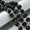 Natural Obsidian Beads Strands G-Q010-A23-01-2