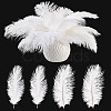 20Pcs 2 Styles Ostrich Feather Costume Accessories FIND-TA0005-96-2