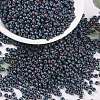 MIYUKI Round Rocailles Beads SEED-X0055-RR2009-1