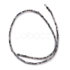 Natural Black Larvikite Bead Strands G-C301-06-2