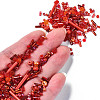 100G Glass Seed Beads SEED-SZ0001-027E-2