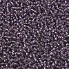 MIYUKI Round Rocailles Beads SEED-X0054-RR0024-2