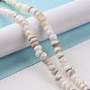 Natural Cultured Freshwater Shell Beads Strands SHEL-F002-01D-2