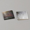Natural Black Lip Shell Pendants BSHE-WH0004-13-2