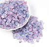 Transparent Spray Painted Glass Seed Beads SEED-L011-10A-19-1