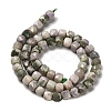 Natural Peace Jade Beads Strands G-H078-C10-01-3