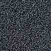 MIYUKI Round Rocailles Beads X-SEED-G008-RR2426-3