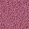 MIYUKI Round Rocailles Beads SEED-JP0009-RR0556-4