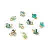 Electroplate Glass Charms PALLOY-JF00821-06-1