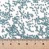 MIYUKI Round Rocailles Beads X-SEED-G009-RR1824-4