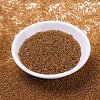 MIYUKI Round Rocailles Beads SEED-G007-RR0377-2