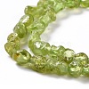 Natural Peridot Beads Strands X-G-D0004-A02-03-3