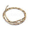 Natural Picture Jasper Beads Strands G-F631-B10-2