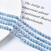 Dyed Natural Quartz Round Bead Strands G-R173-6mm-03-2