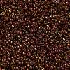 MIYUKI Round Rocailles Beads SEED-JP0010-RR0301-3