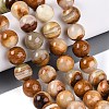 Natural Wood Lace Stone Wooden Jasper Beads Strands G-B128-A04-05-1