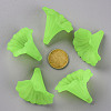 Transparent Acrylic Beads BSF796-C18-5