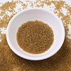 MIYUKI Delica Beads X-SEED-J020-DB0119-2