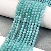 Natural Amazonite Beads Strands G-M438-A07-01-2