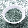 MIYUKI Delica Beads X-SEED-J020-DB1846-2