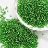 12/0 Transparent Glass Round Seed Beads SEED-J010-F12-27B-1