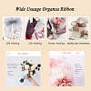 Organza Ribbon RS3mmY001-7