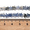 Natural Blue Spot Jasper Beads Strands G-F817-A12-01-6