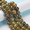 Natural Green Garnet Beads Strands G-Z034-B14-03-2