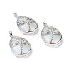 Opalite Pendants G-G900-01P-05-1