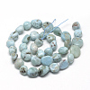 Natural Larimar Beads Strands X-G-R445-8x10-15-2