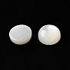 Natural White Shell Cabochons SSHEL-M022-01B-2
