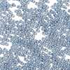 Glass Seed Beads SEED-H002-E-A1415-3