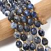 Natural Sodalite Beads Strands G-F809-A19-01A-1