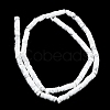Natural Howlite Beads Strands G-K245-C03-02-2